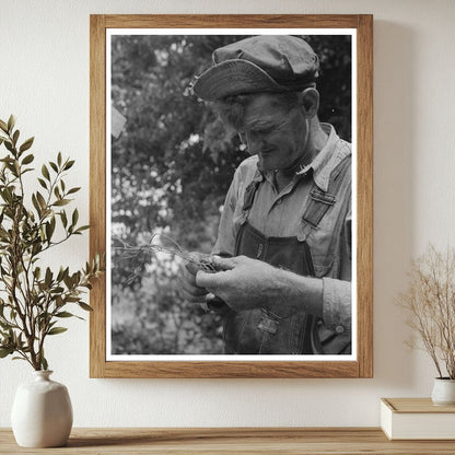 Elmer Thomas Untangling Wire in Muskogee July 1939