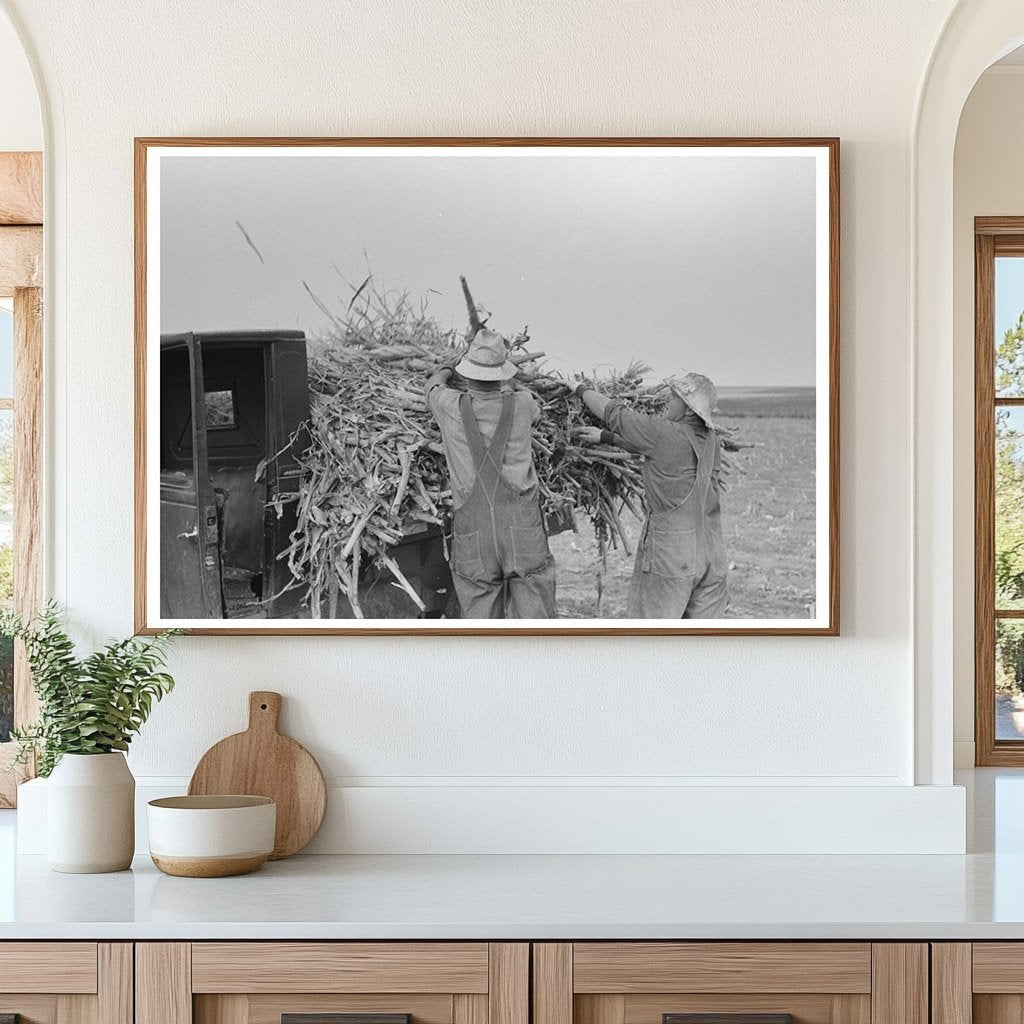 Vintage 1939 Kansas Corn Loading for Fodder Photo