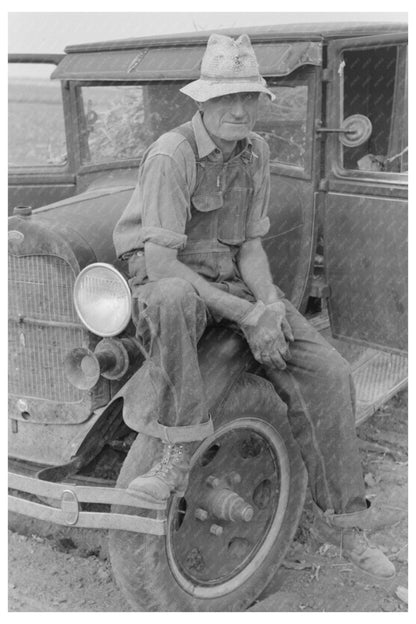 Farm Worker in Sheridan County Kansas August 1939