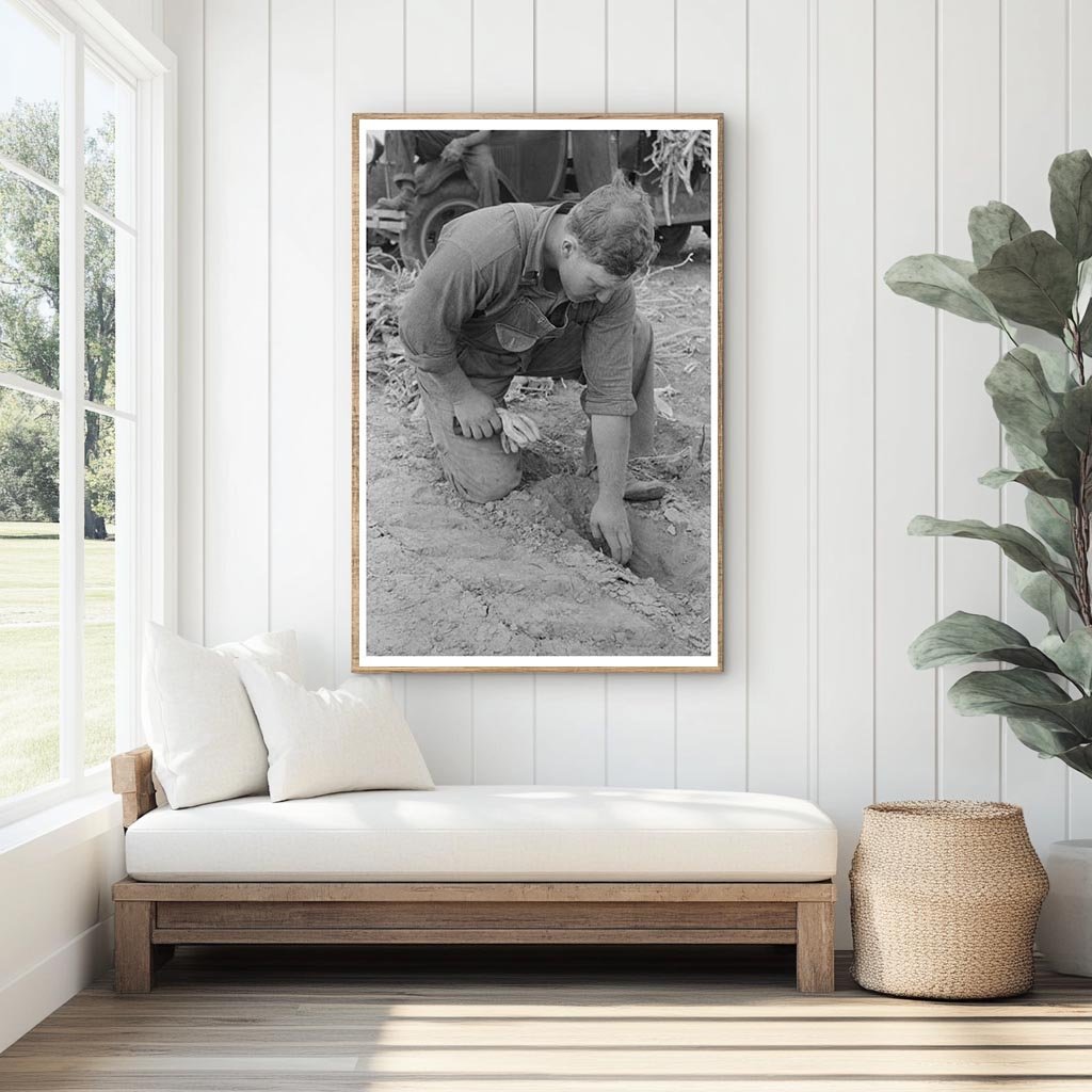 Farmer Assessing Soil Moisture Kansas August 1939