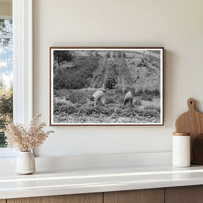 Mr and Mrs Schoenfeldt Harvesting Beets 1939