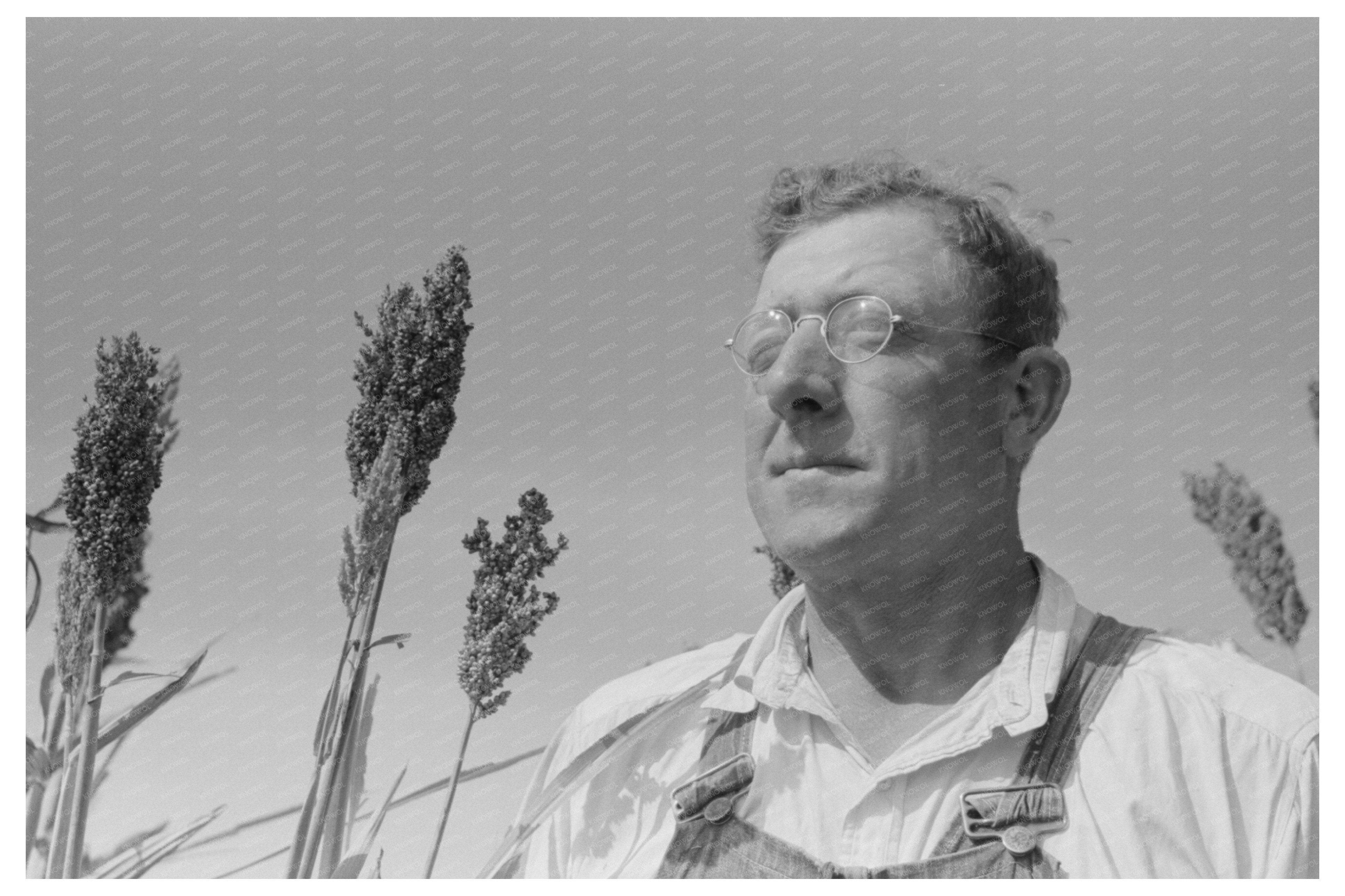 William Rall among Kaffir Corn in Kansas 1939