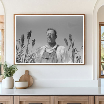 Client in Kaffir Corn Field Sheridan County Kansas 1939