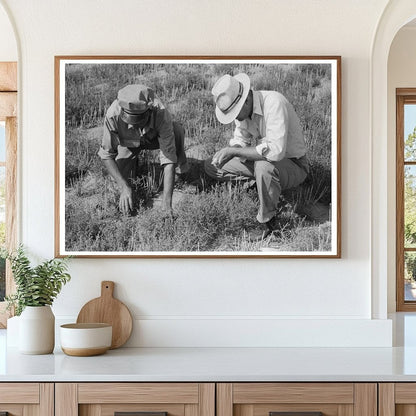 Farm Security Administration Tumbleweed Inspection 1939