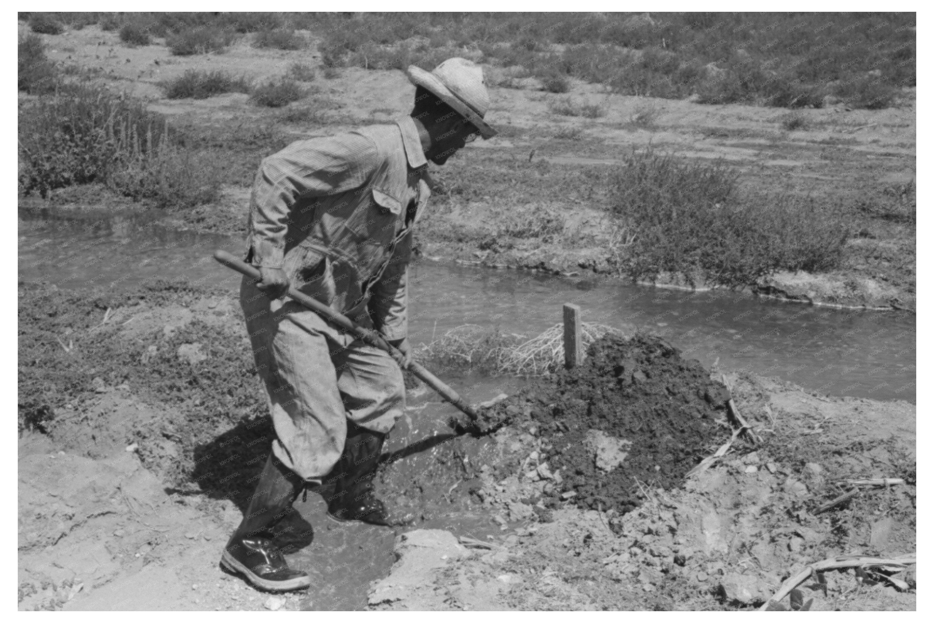 Vintage 1939 Photo of Farmer Constructing Tumbleweed Dam