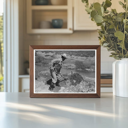 Vintage 1939 Photo of Farmer Constructing Tumbleweed Dam