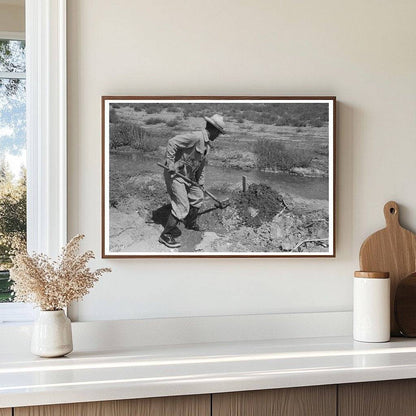 Vintage 1939 Photo of Farmer Constructing Tumbleweed Dam