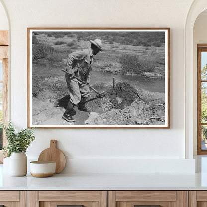 Vintage 1939 Photo of Farmer Constructing Tumbleweed Dam