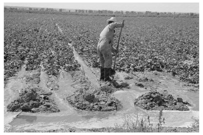 Mr. Johnson in Cooperative Well for Sugar Beets 1939