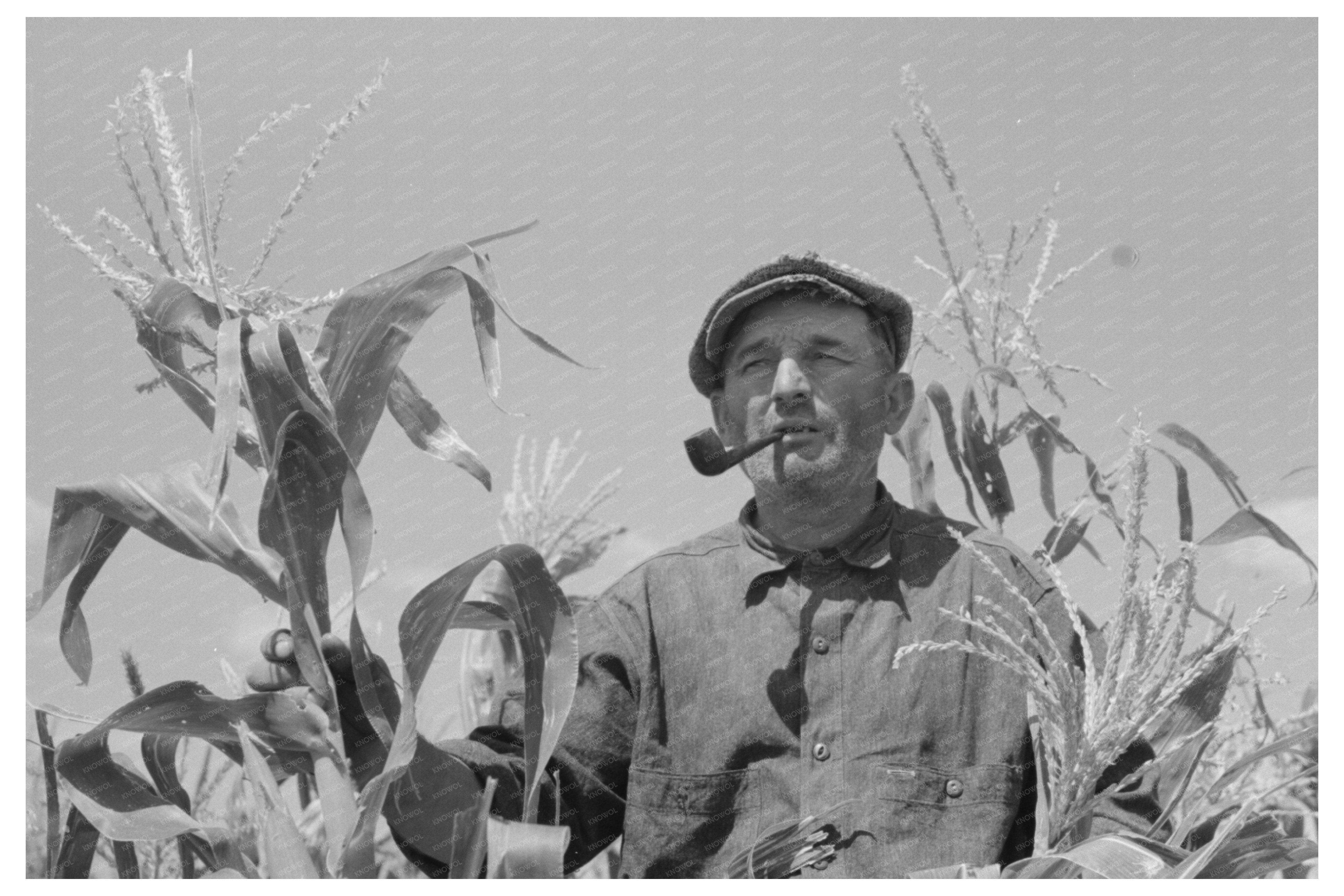 Tenant Farmer in Cornfield Syracuse Kansas 1939