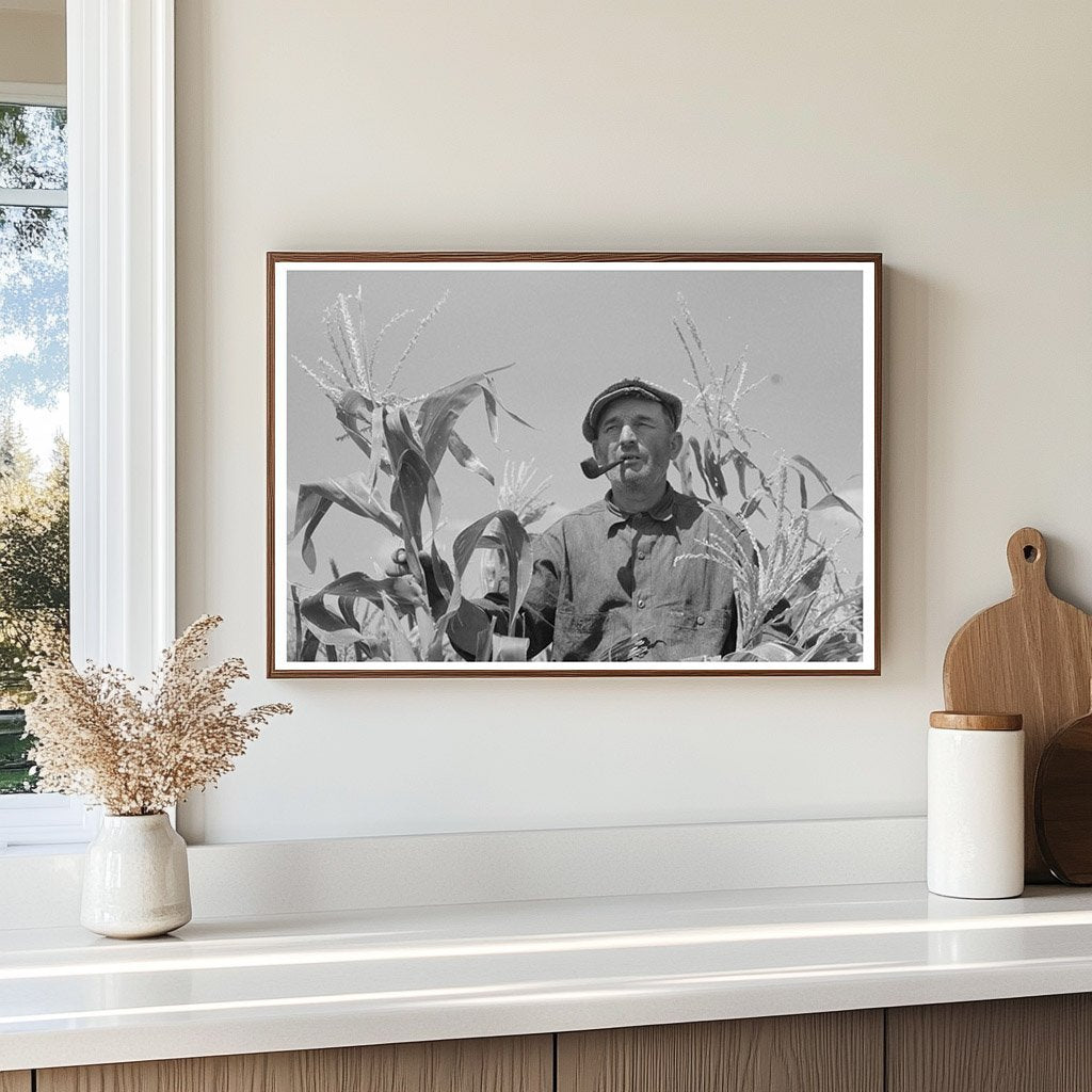 Tenant Farmer in Cornfield Syracuse Kansas 1939