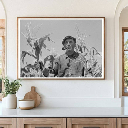 Tenant Farmer in Cornfield Syracuse Kansas 1939