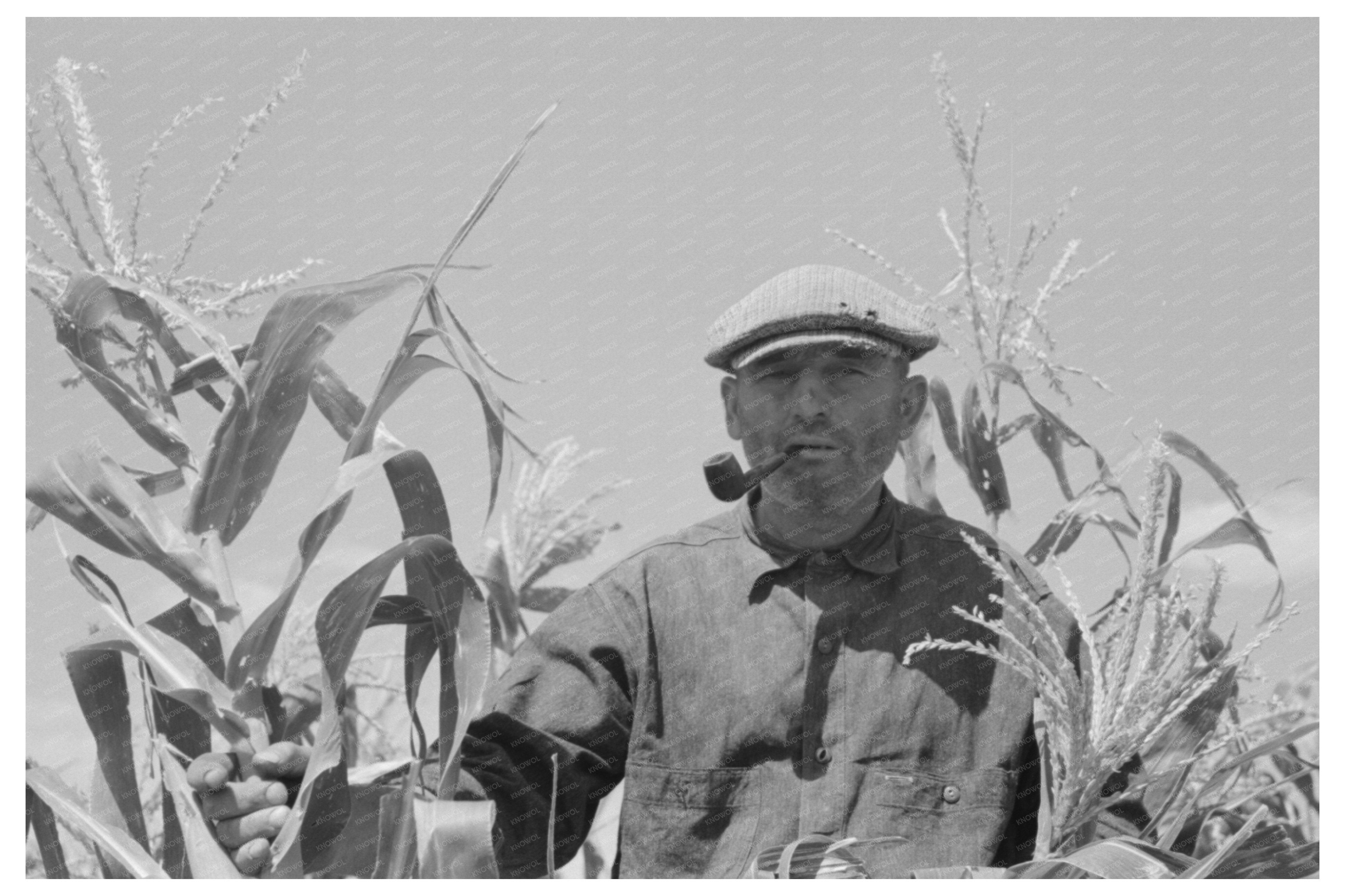 Mr. Wright with Corn Crop Syracuse Kansas 1939