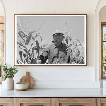 Mr. Wright with Corn Crop Syracuse Kansas 1939