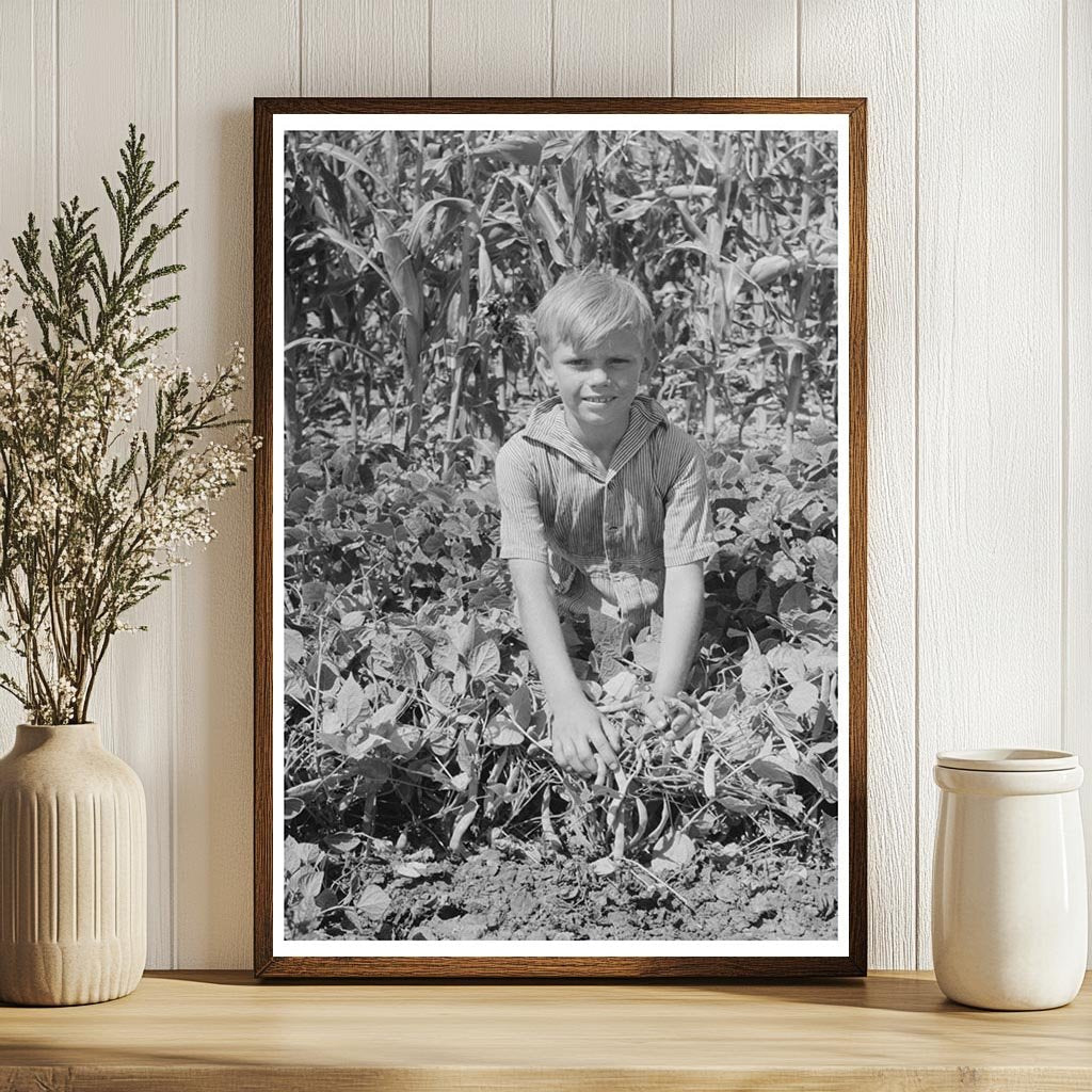 Child on Kansas Farm with String Bean Vines August 1939