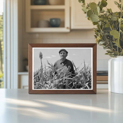 Mr. Wright with Corn Crop in Syracuse Kansas August 1939