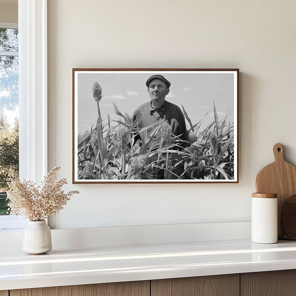 Mr. Wright with Corn Crop in Syracuse Kansas August 1939