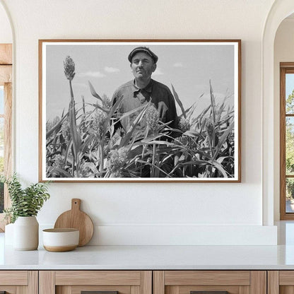 Mr. Wright with Corn Crop in Syracuse Kansas August 1939