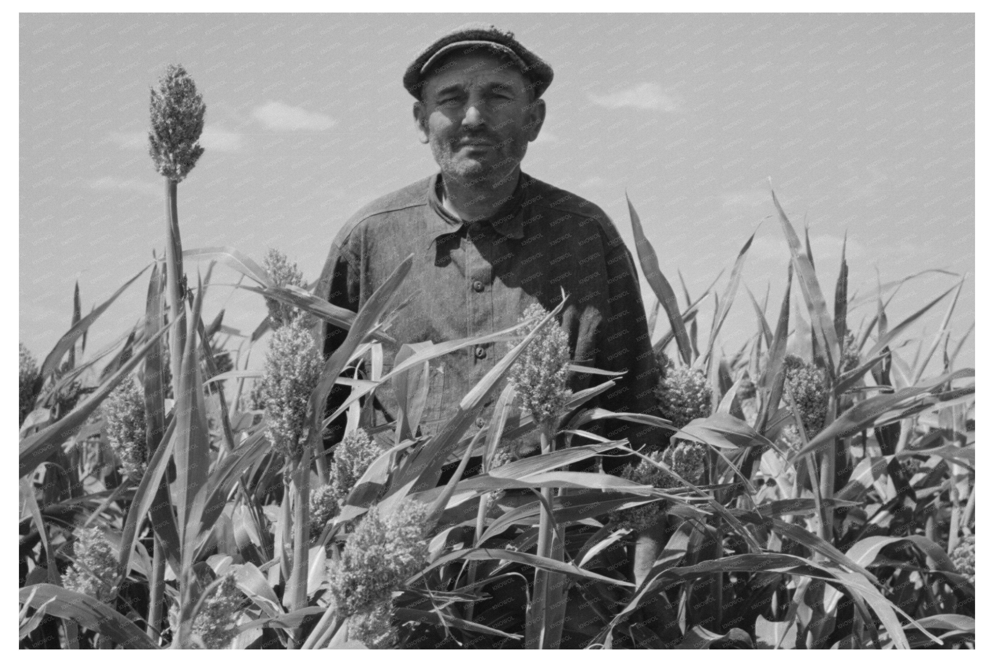 Mr. Wright Tenant Farmer in Kansas Cornfield 1939