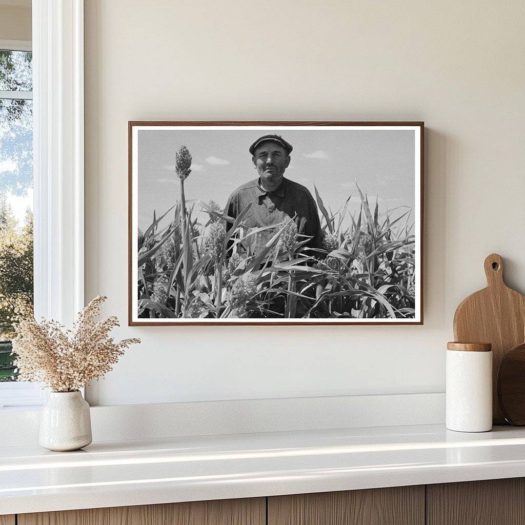 Mr. Wright Tenant Farmer in Kansas Cornfield 1939