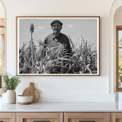 Mr. Wright Tenant Farmer in Kansas Cornfield 1939