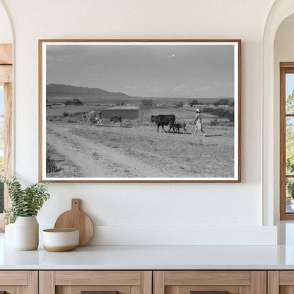 Young Girl Herds Cows in Taos County New Mexico 1939