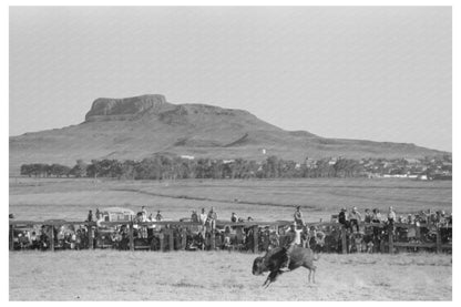 Rider on Buffalo at Bean Day Rodeo 1939 New Mexico