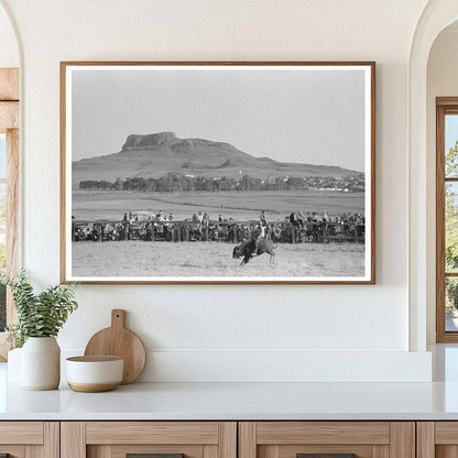 Rider on Buffalo at Bean Day Rodeo 1939 New Mexico