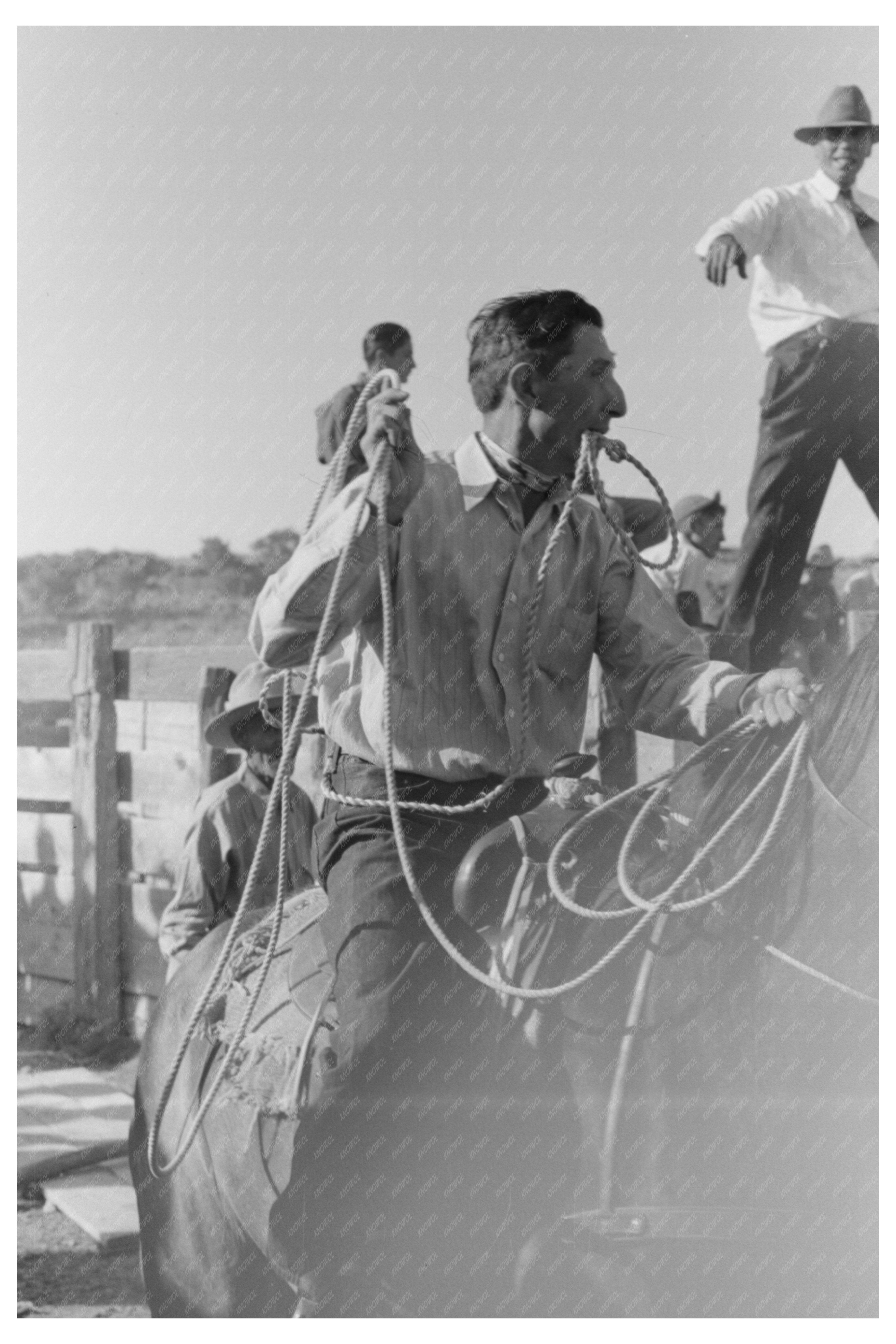 Goat Roping at Bean Day Rodeo Wagon Mound NM 1939