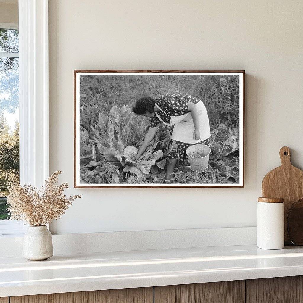 Ofelia Sandoval with Cauliflower in Taos County 1939