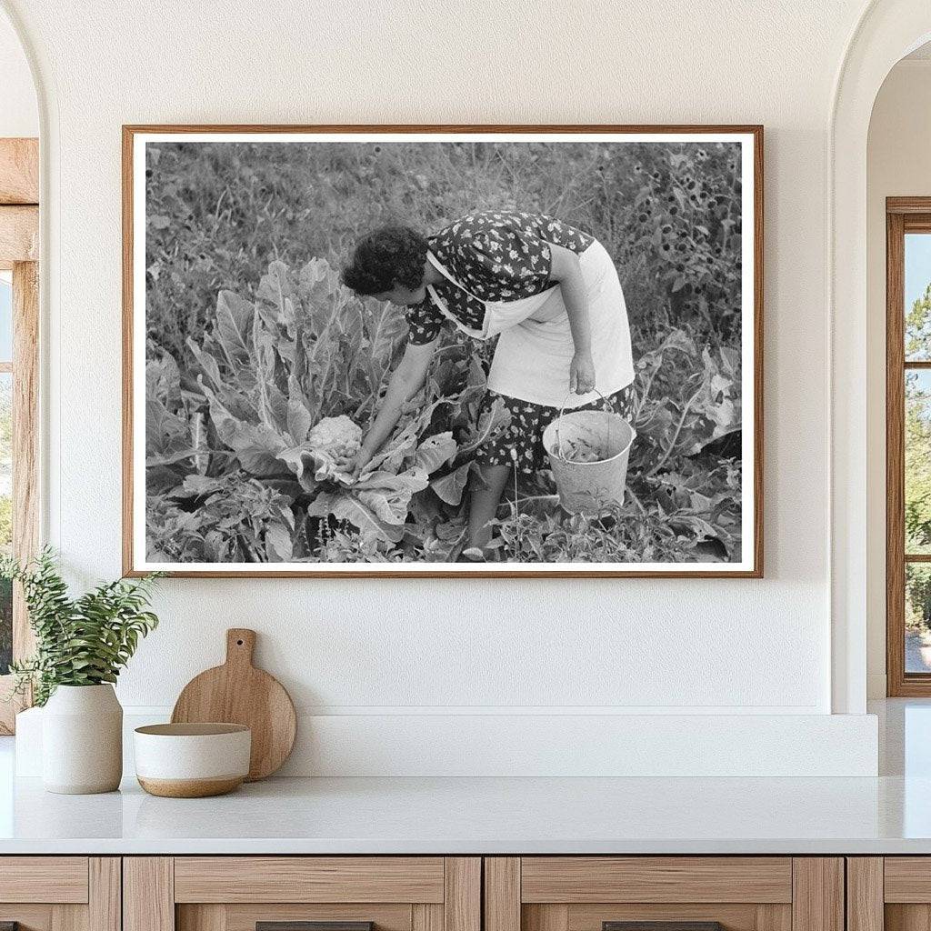 Ofelia Sandoval with Cauliflower in Taos County 1939