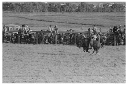 Cowboy Riding Steer at Wagon Mound Rodeo 1939