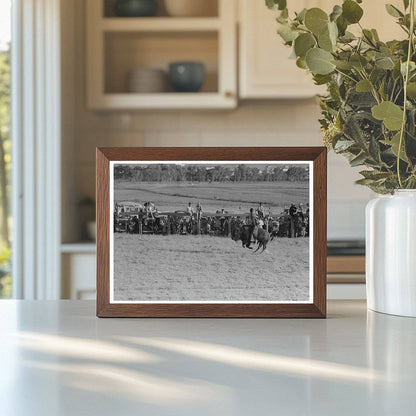 Cowboy Riding Steer at Wagon Mound Rodeo 1939