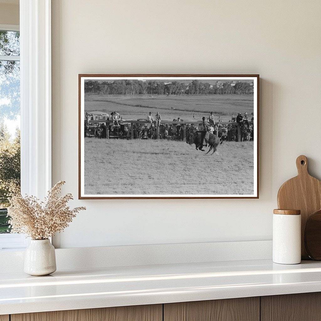 Cowboy Riding Steer at Wagon Mound Rodeo 1939