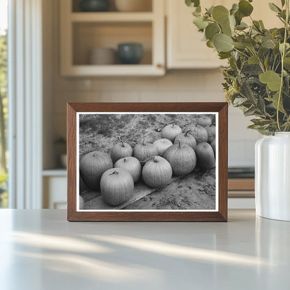 Pumpkins on Roadside in Berlin Connecticut October 1939