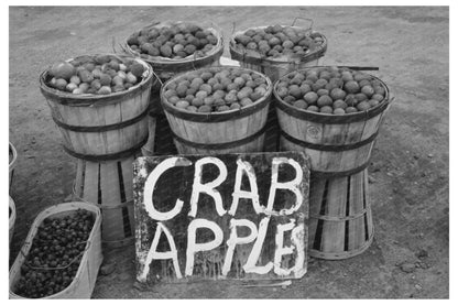 Crab Apples at Roadside Stand Berlin Connecticut 1939