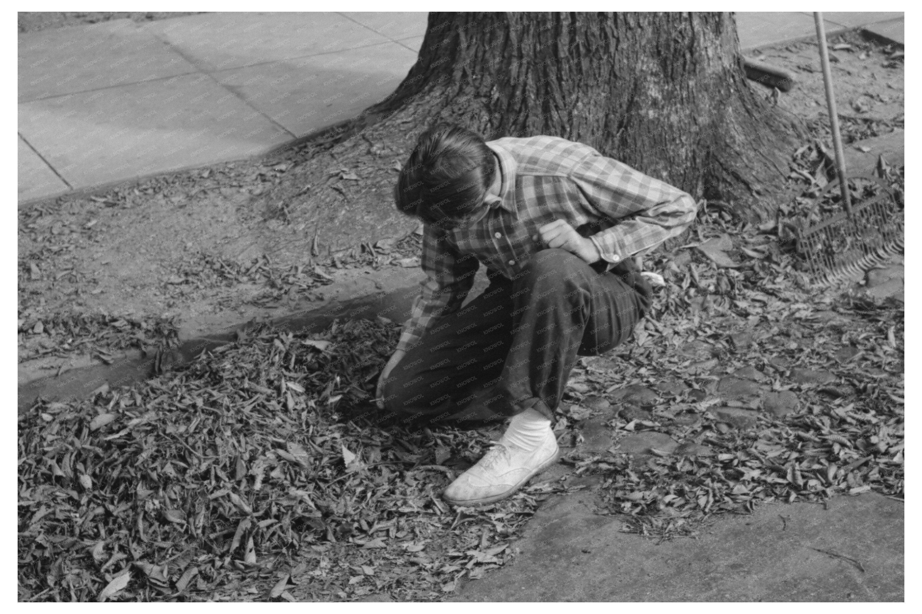 Young Boy Burning Leaves in Meriden Connecticut 1939