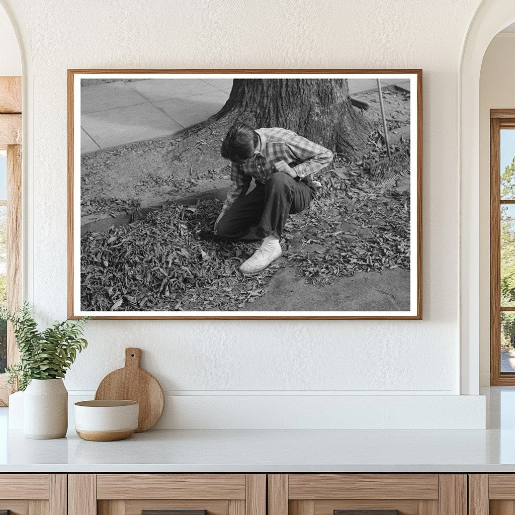 Young Boy Burning Leaves in Meriden Connecticut 1939