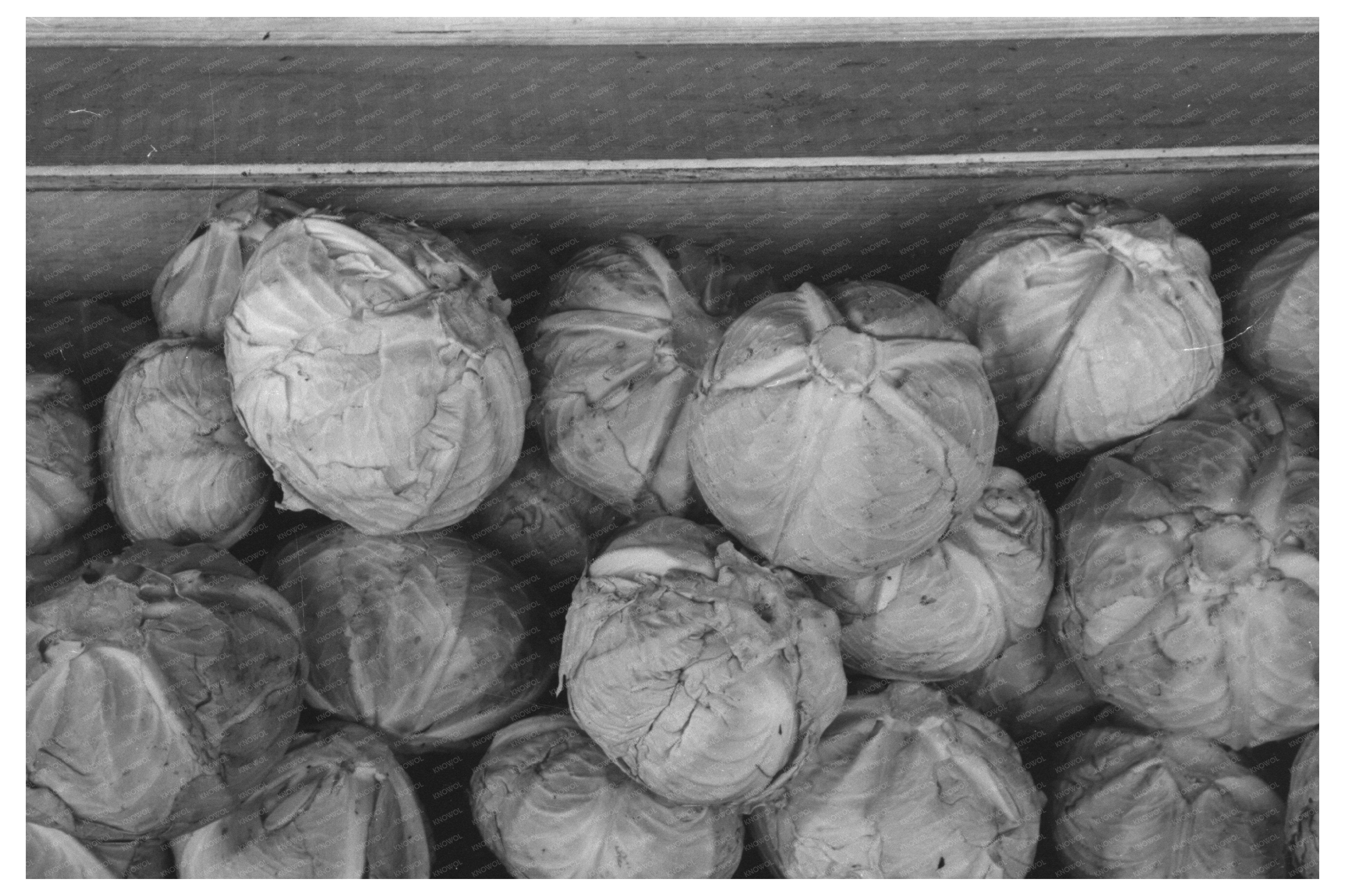 Roadside Cabbage Stand Greenfield Massachusetts 1939