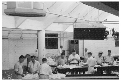 Grading Cotton at Houston Compress October 1939