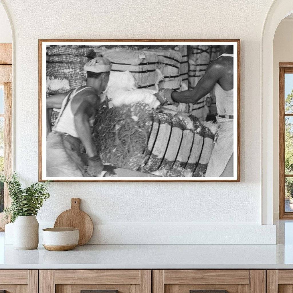 Houston Man Slicing Cotton Bale October 1939