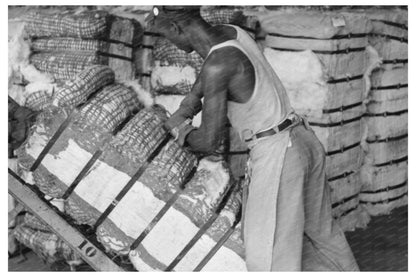 Houston Cotton Worker Slashing Bale October 1939