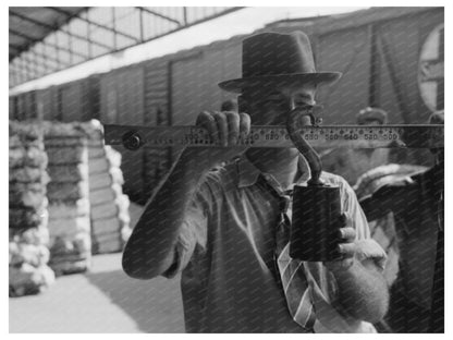 Weighing Cotton at Houston Unloading Platform 1939