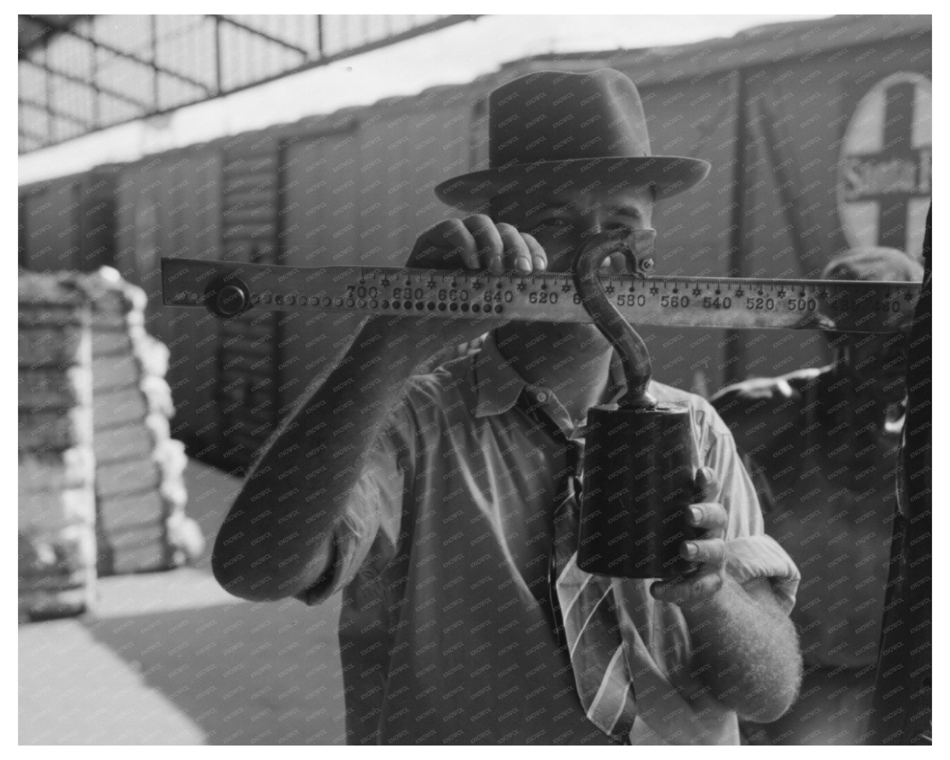 Weighing Cotton at Houston Compress October 1939