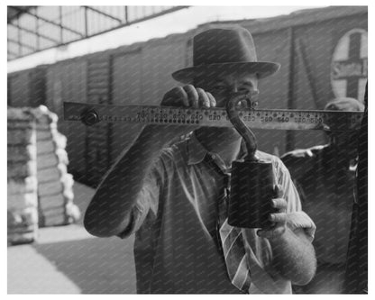 Weighing Cotton at Houston Compress October 1939