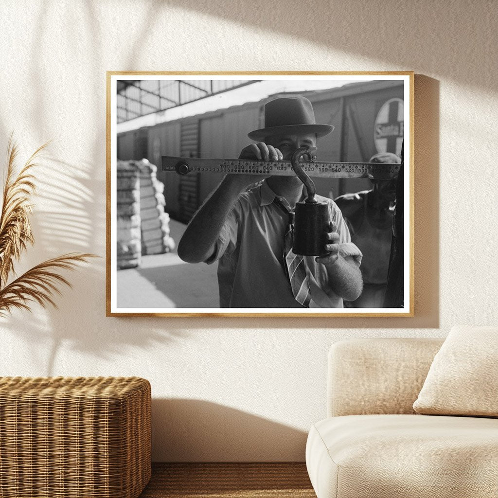 Weighing Cotton at Houston Compress October 1939