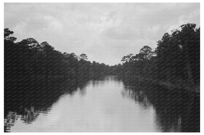 Texas Bayou Landscape with Trees and Moss 1939