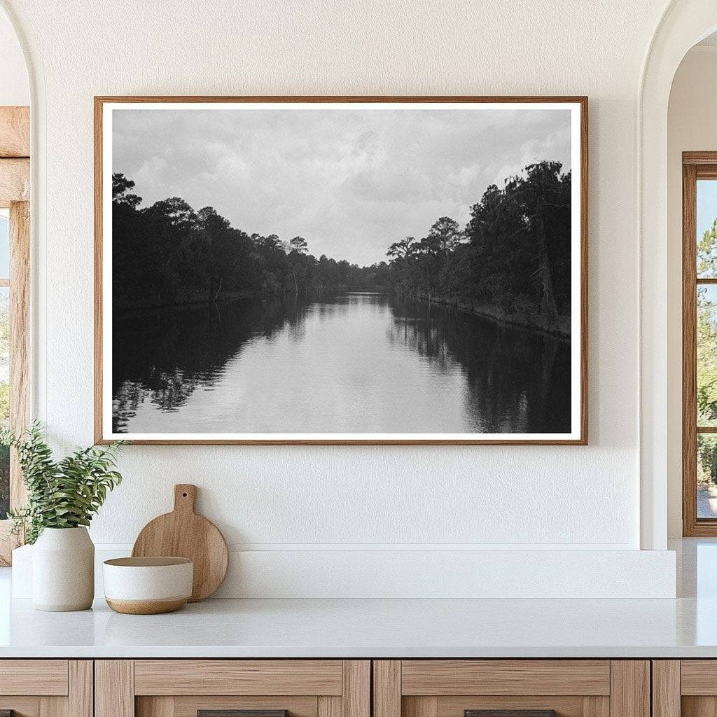 Texas Bayou Landscape with Trees and Moss 1939