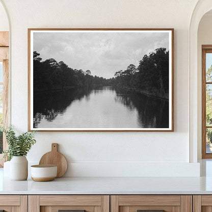 Texas Bayou Landscape with Trees and Moss 1939