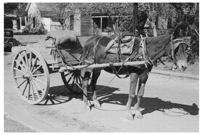 Horse and Wagon in Taylor Texas October 1939